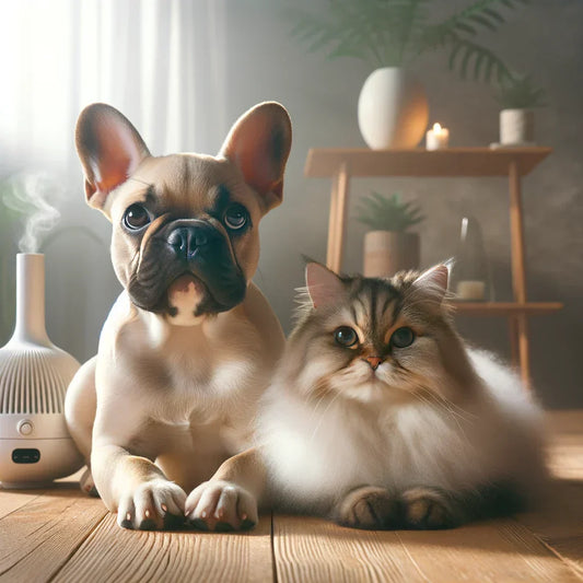 A realistic image of a French Bulldog and a fluffy cat sitting together in a cozy indoor setting, illustrating a pet-friendly environment with a diffuser and house plants visible in the background. The scene promotes pet-friendly aromatherapy practices.