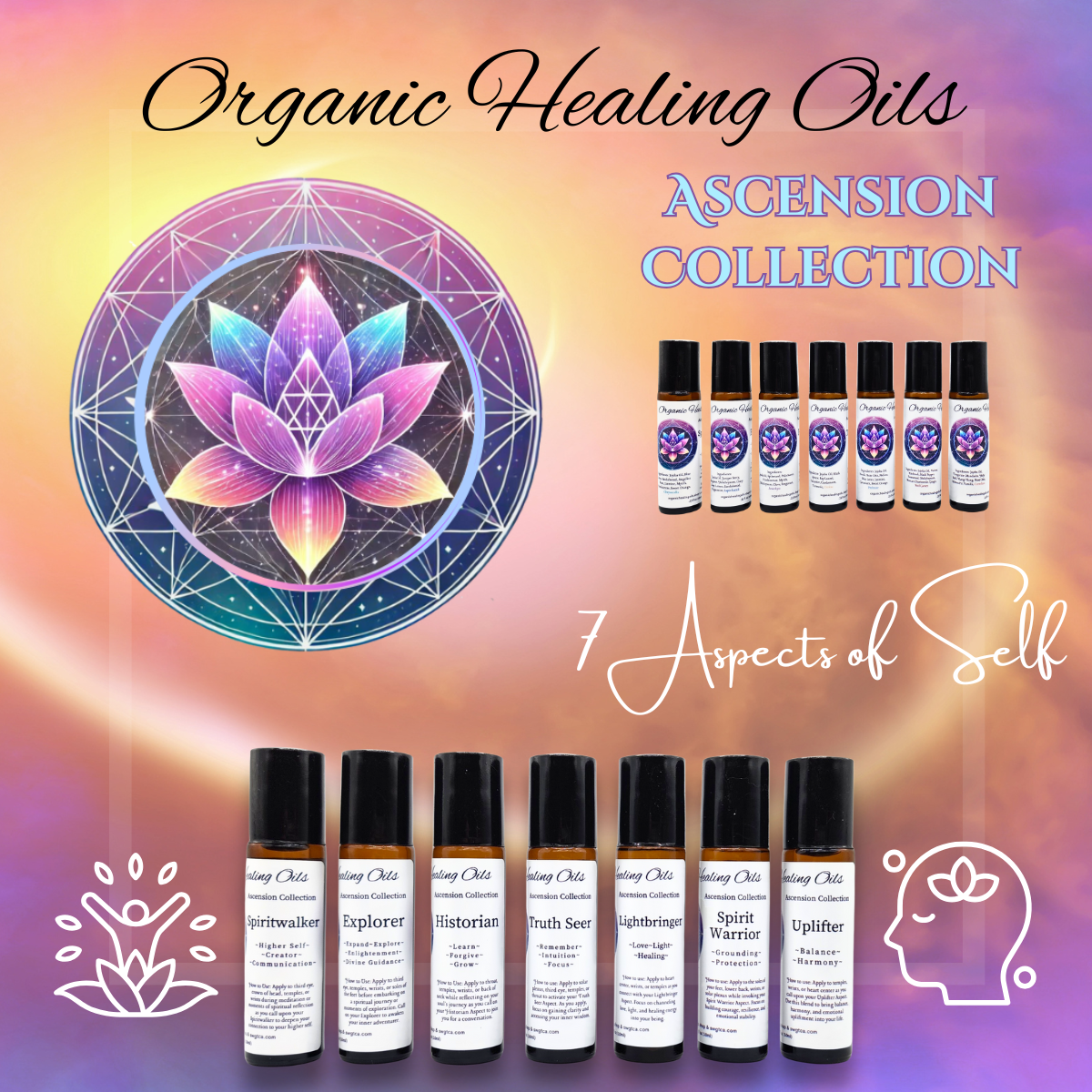 Ascension Blends for spiritual growth in 10ml roller bottles, showcasing the complete collection including Spiritwalker, Explorer, Truth Seer, Historian, Uplifter, Lightbringer, and Spirit Warrior.